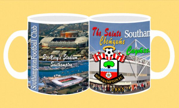 012-photomug-Southampton-stadium