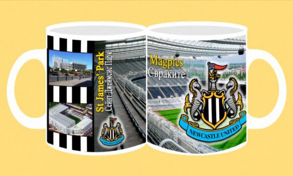 015-photomug-Newcastle-stadium