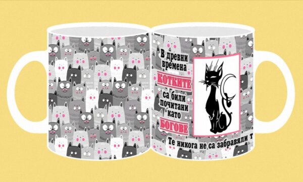 286-photomug-cat-In ancient times 1